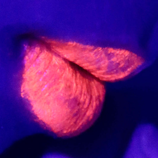 In Violet, IV