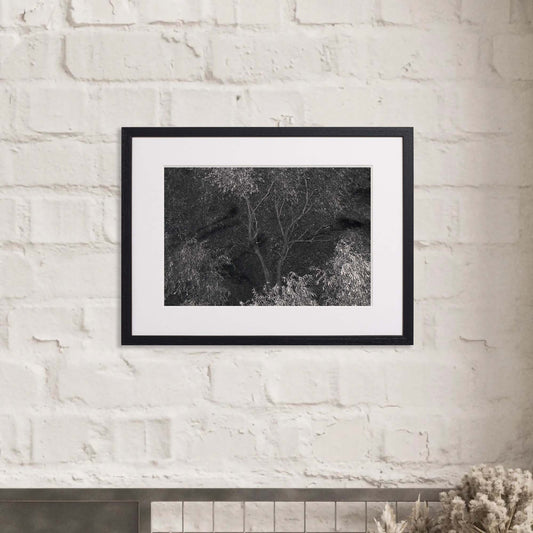 Night | 2025 - Chaos (Framed Set of 4)