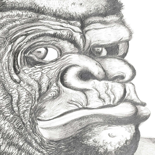 Grumpy Gorilla