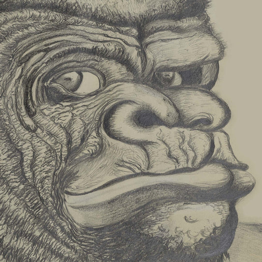 Grumpy Gorilla