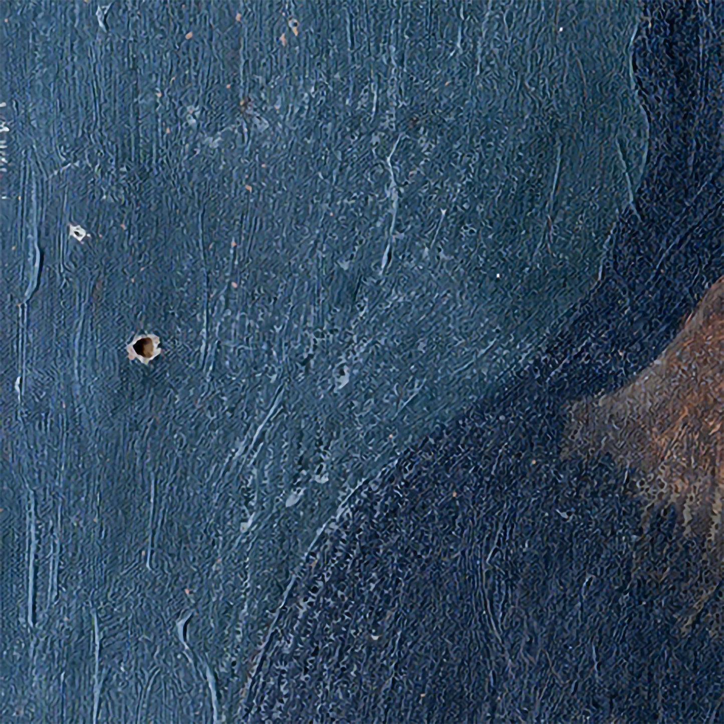 Mona Lisa's Aunt (2019)