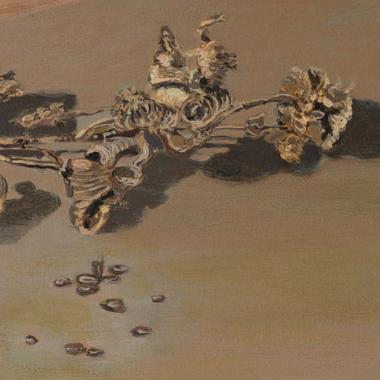 Nature Morte: Poppy and Seeds