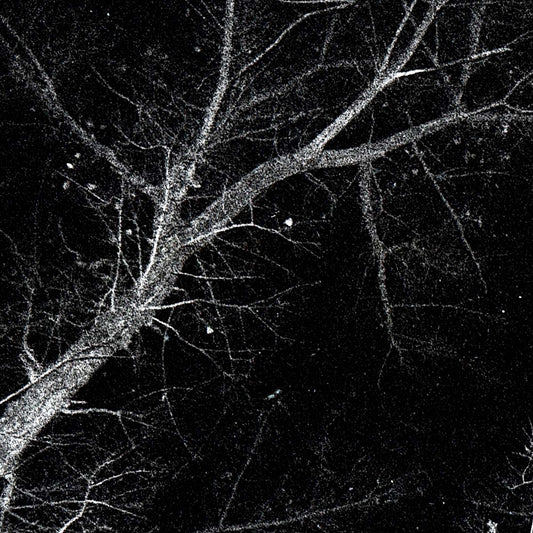 Pure Black #8