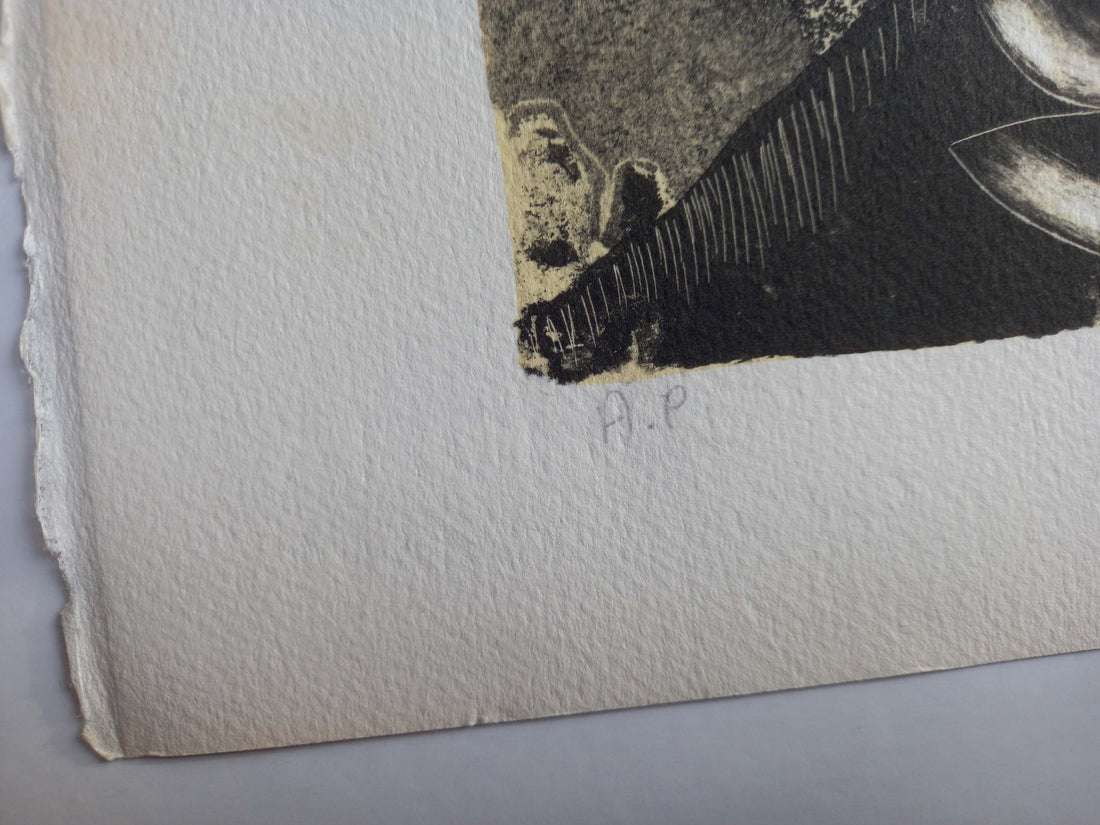 What Is an Artist's Proof (AP) and Why Are They Sought After by Collectors?