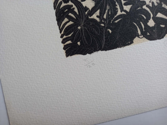 A Guide to Print Editions: Understanding Limited and Special Prints