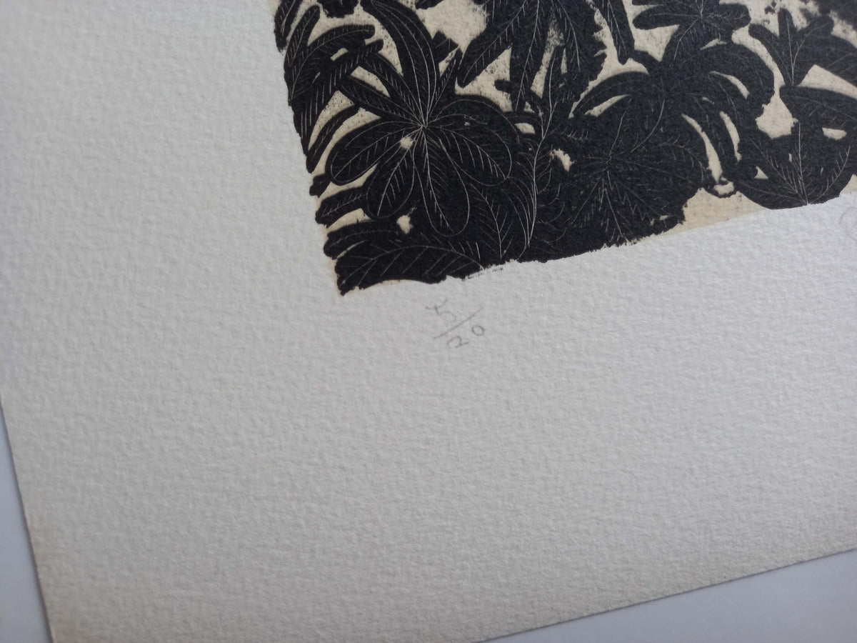 Limited Edition Prints Explained