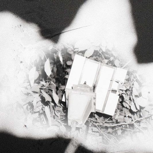 Photography as Art: Why Collectors Invest in Fine Art Photography