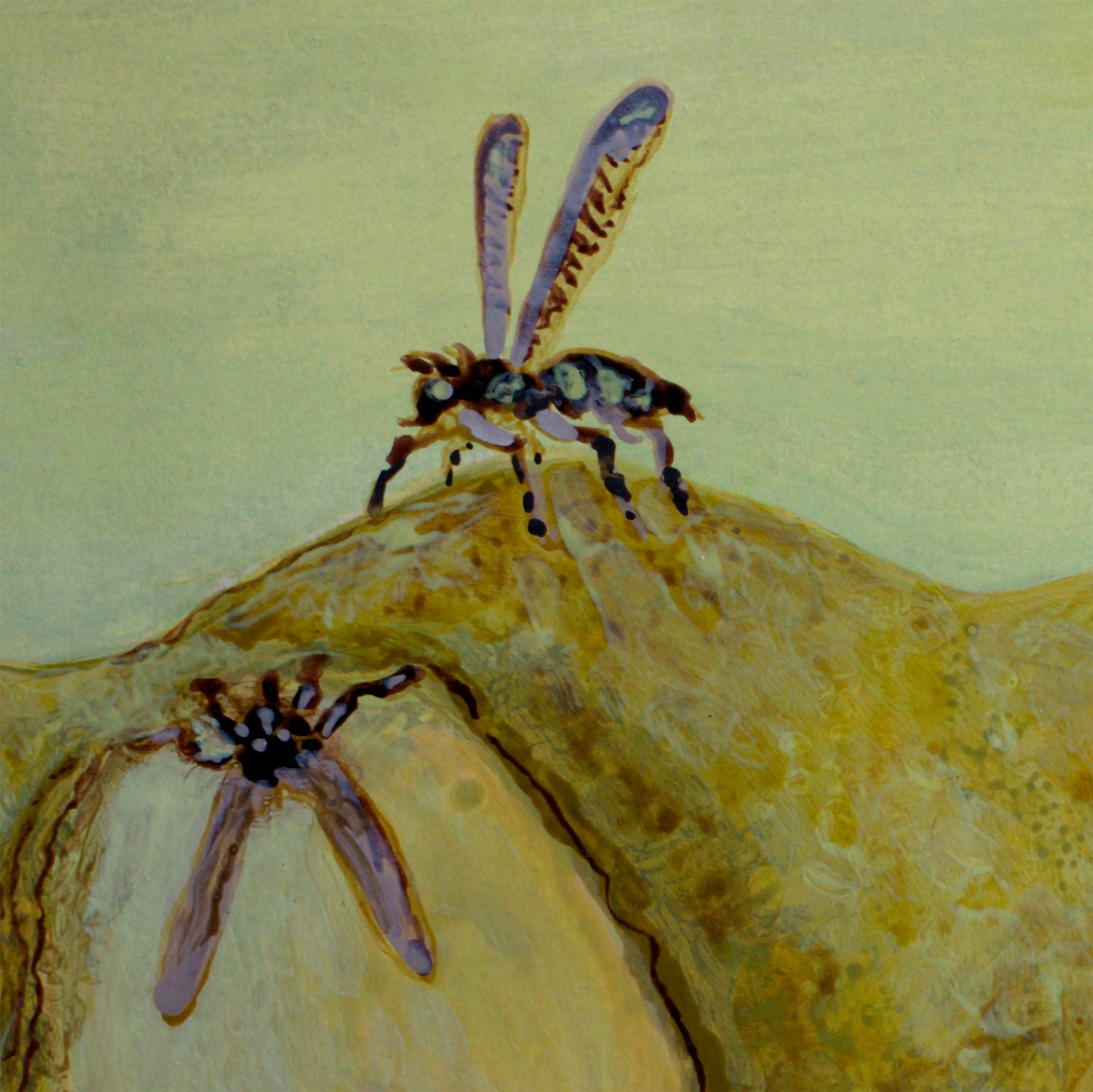 Still Life