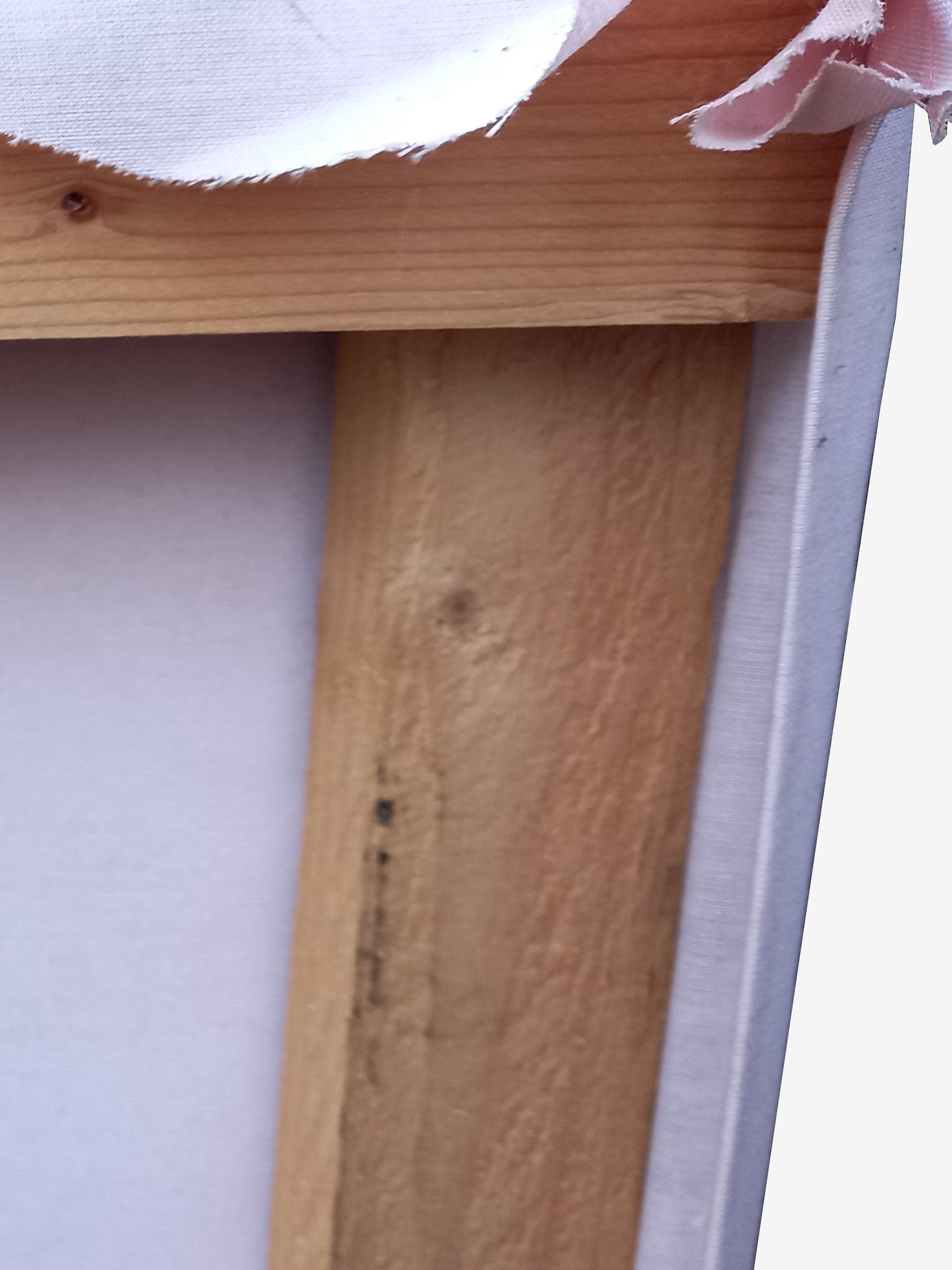 The Hands of Lazarus (2010)