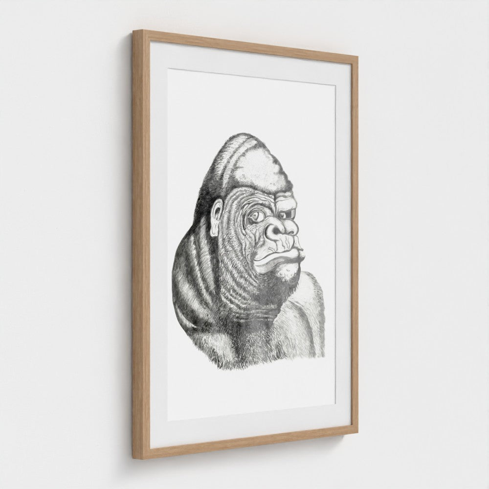 Grumpy Gorilla (Large) (New York Edition)