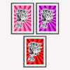 Medusa Reframed: Chromatic Fields 2026 (Framed Set of 3)