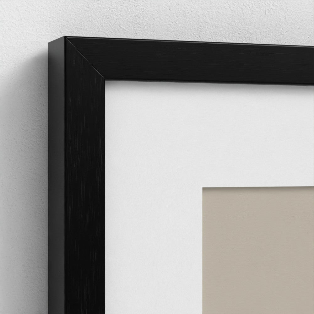 Medusa Unleashed in Monochrome and Technicolor (Framed Set of 2)