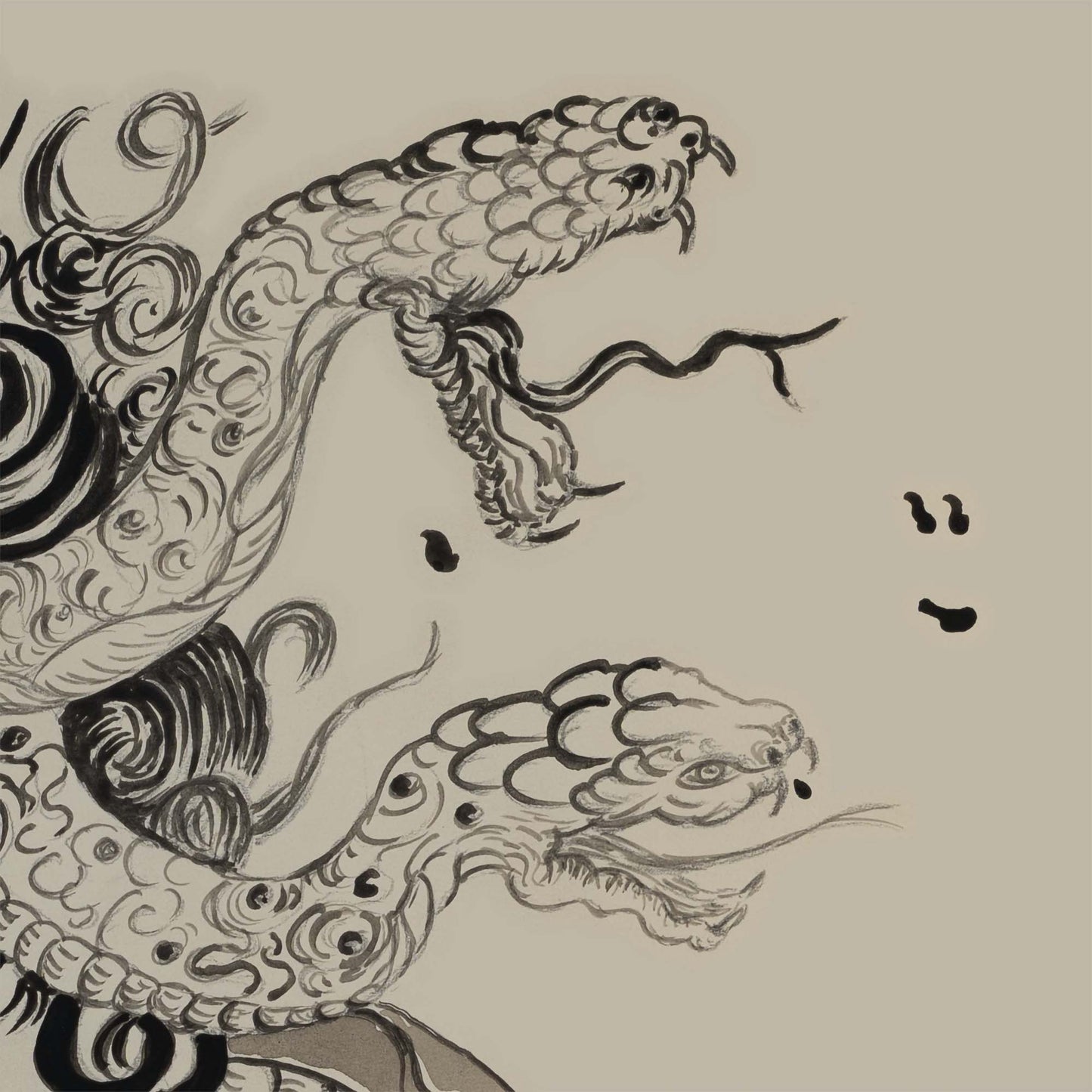 Medusa Unleashed in Monochrome