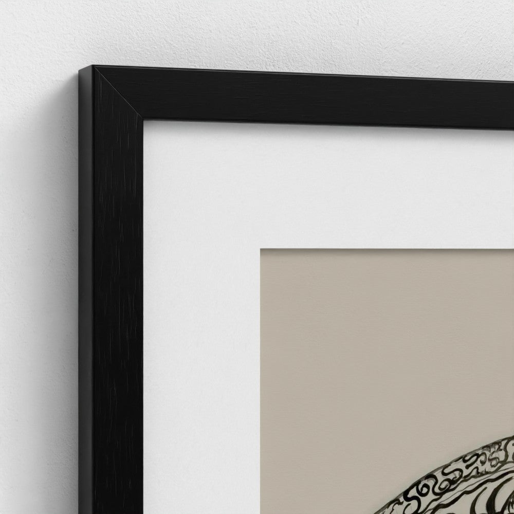 Medusa Unleashed in Monochrome