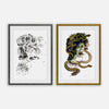Medusa Unleashed in Monochrome and Technicolor (Framed Set of 2)