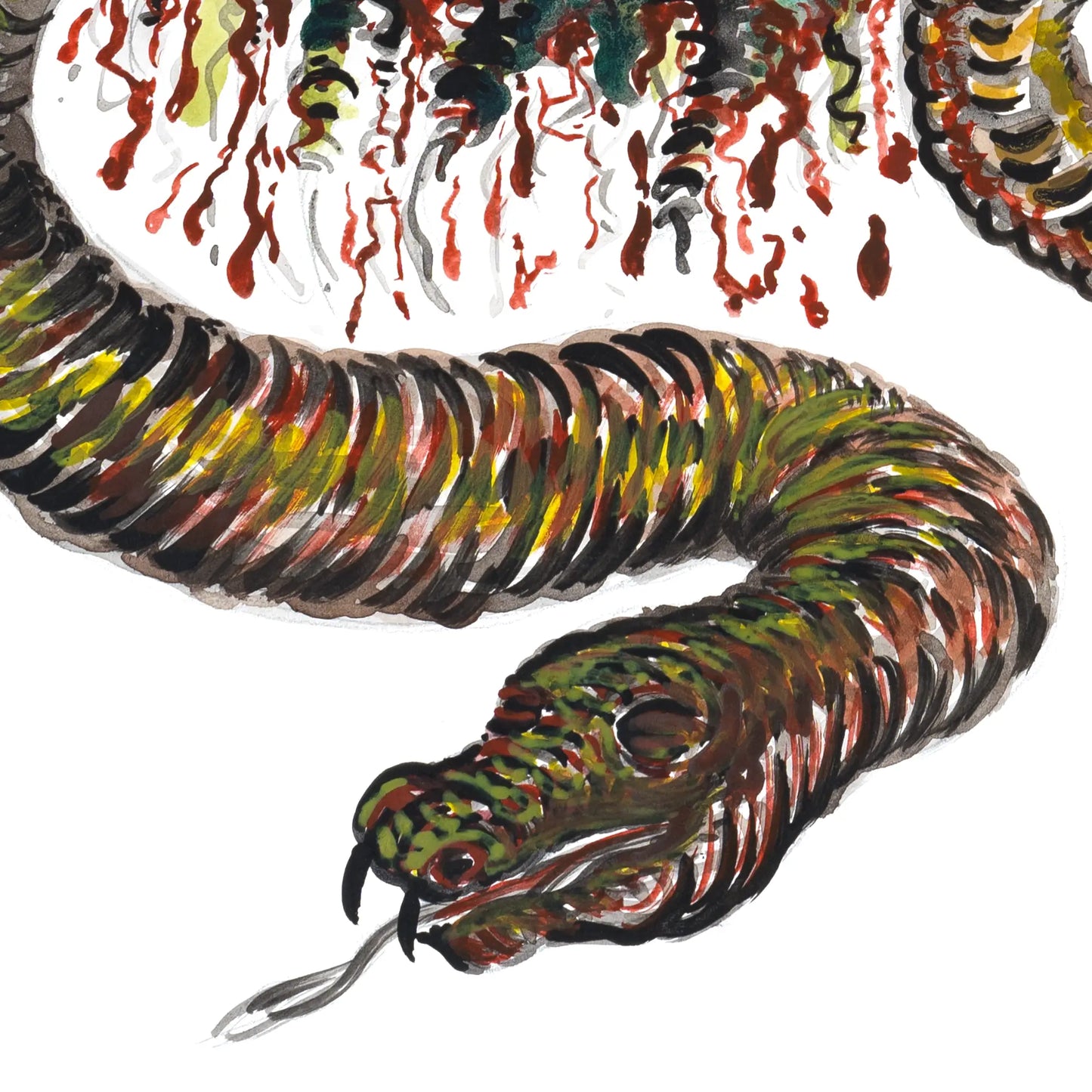 Medusa Unleashed in Technicolor