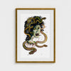 Medusa Unleashed in Technicolor