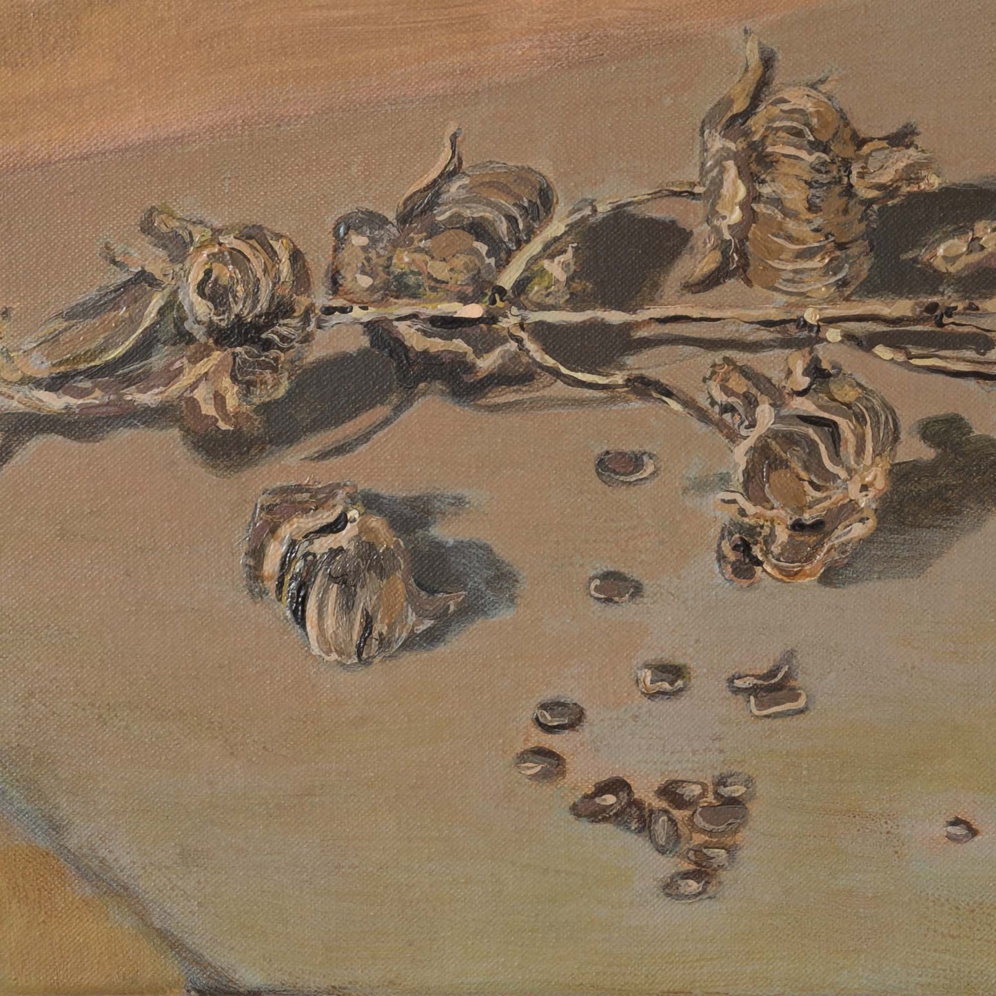 Nature Morte: Poppy and Seeds