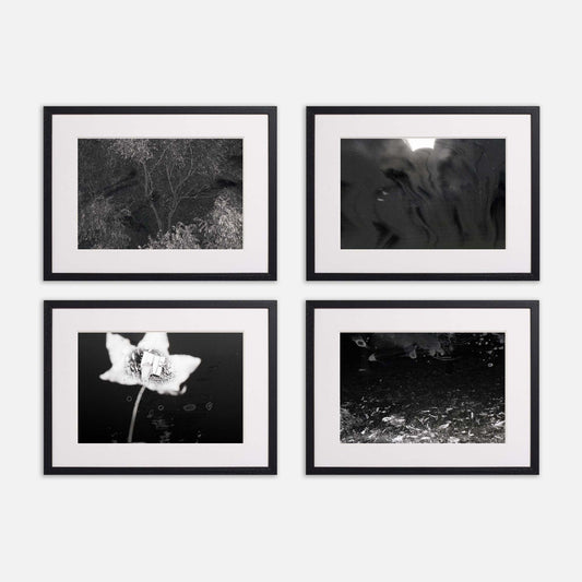 Night | 2025 - Chaos (Framed Set of 4)